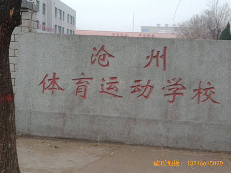 河北滄州體育學(xué)?；@球館體育地板施工案例0
